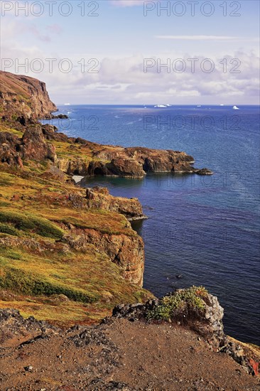 Basalt rock on the coast