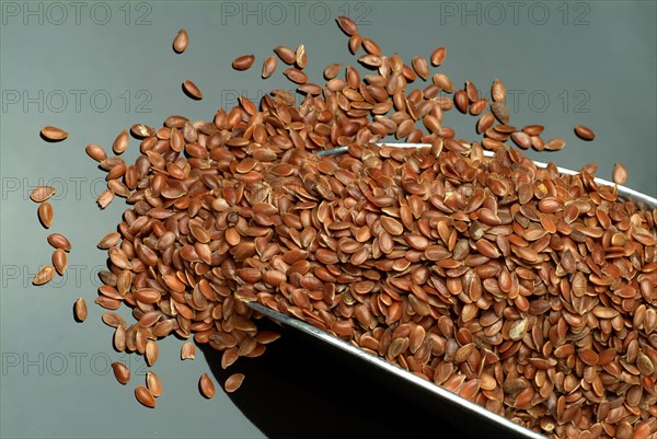 Flaxseed