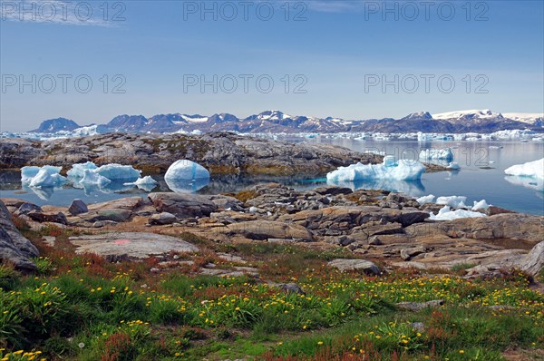 Icebergs reflected in a fjord