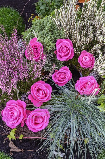 Grave with flower decoration and shrub rose