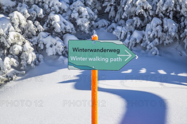 Snow hiking trail to the viewing platform