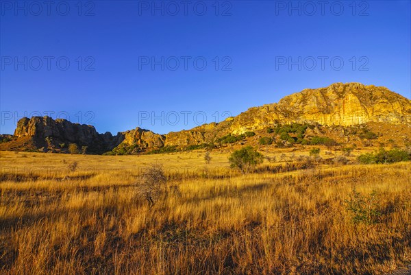 Savanah at sunset in the Isalo National Park