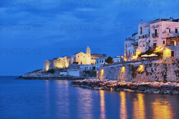 Punta San Francesco with illuminated church of San Francesco and old town at blue hour