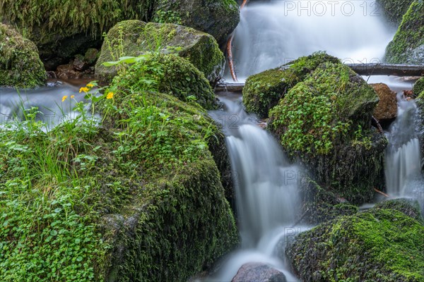 Fresh and beautiful waterfalls in a mountain stream in spring. La Serva