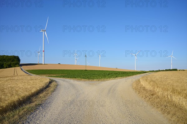 Forked dirt road with barley field and wind turbines in summer