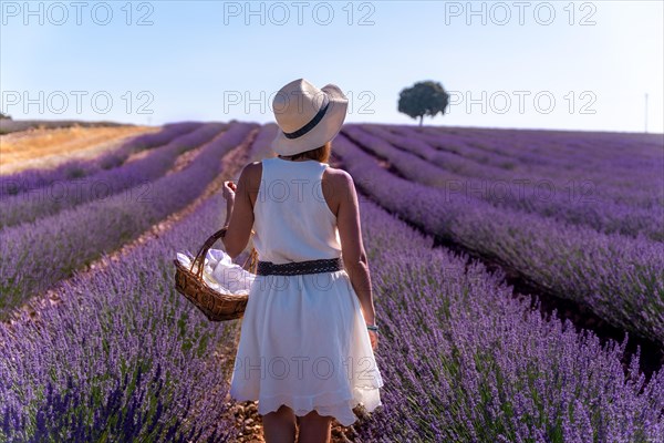 A woman in a white dress in a summer lavender field