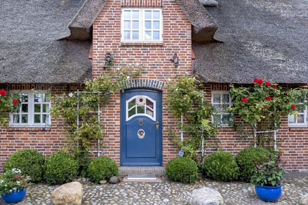 Thatched Frisian house