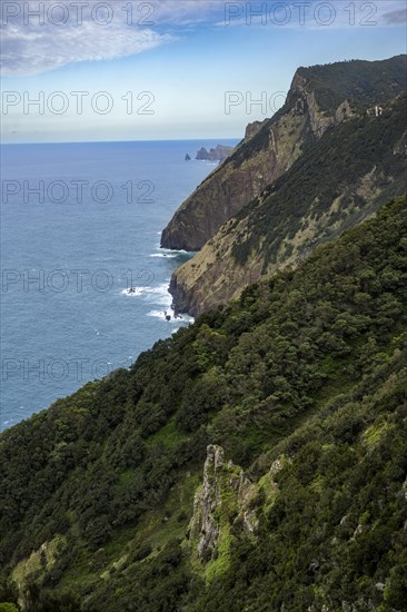 View of steep cliffs and mountains overgrown with forest