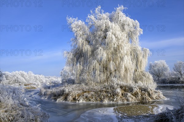 River landscape with hoarfrost and ice