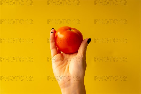 Woman's hand with a vegetable on a yellow background