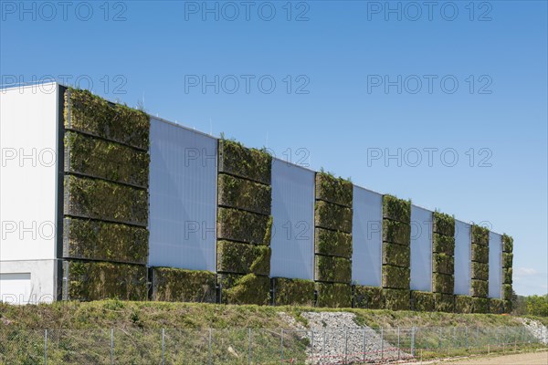 Greened factory facade