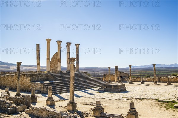 Well-preserved roman ruins in Volubilis