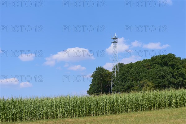 Landscape with cell tower