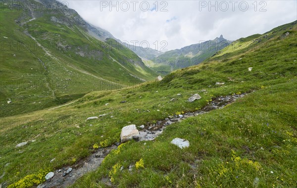 Alpine Apollo