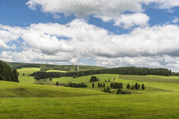 Landscape in the Black Forest