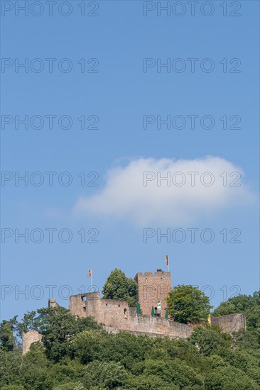 Landeck Castle Ruin