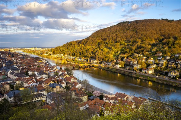 View of Heidelberg