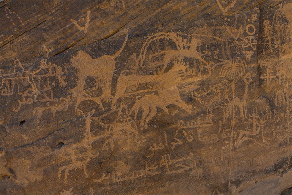 Rock carvings