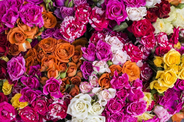 Bouquet with colourful roses