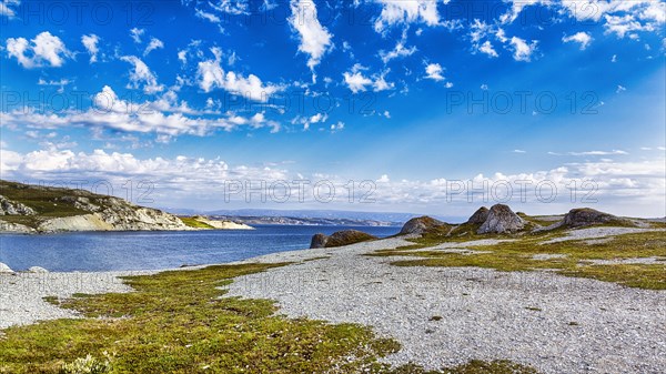 Fjord landscape in summer