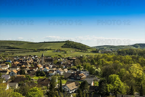 View of village and vineyards and Rhine