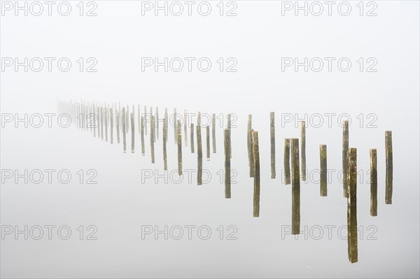 Anchor piles in the fog on autumnal Lake Duemmer