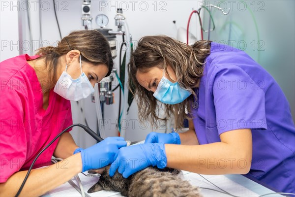 Veterinary clinic