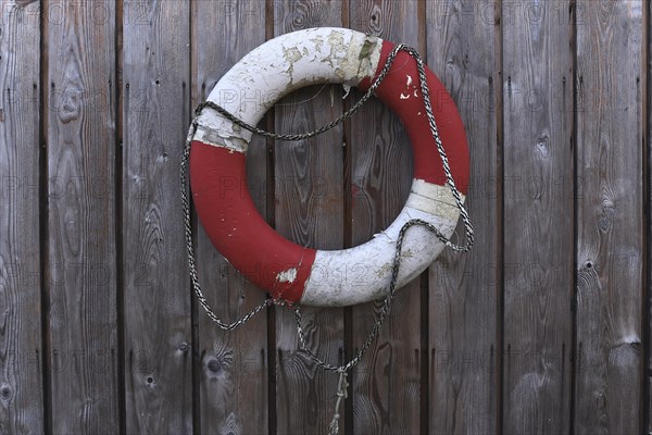 Lifebelt on a wooden wall