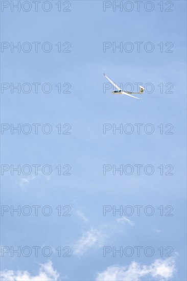 Gliders in the sky