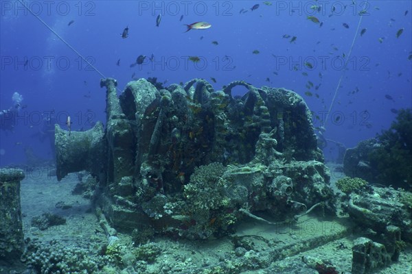 Anchor winch of the Thistlegorm from the Second World War. Dive site Thistlegorm wreck