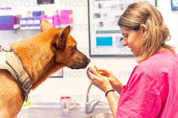 Veterinary clinic