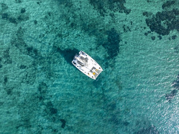 Sailing catamaran from above