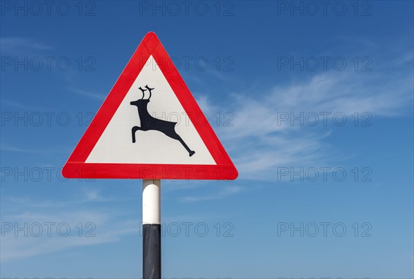 Deer crossing traffic sign