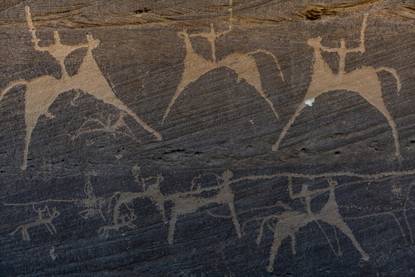 Rock carvings