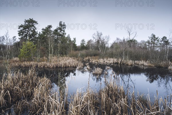 Nature reserve