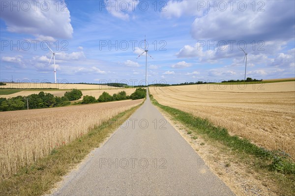 Road in landscape with wind turbines in summer