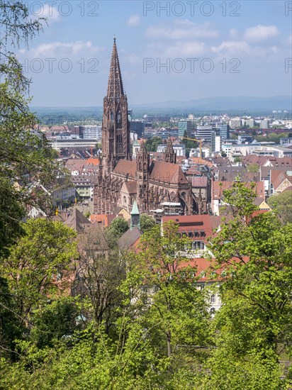 View from the Schlossberg to the city panorama and the Catholic parish church Freiburger Muenster