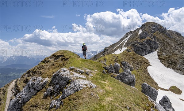 Hiker