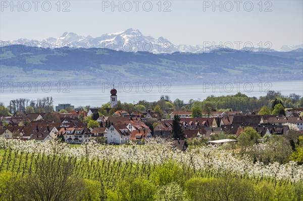 View of the village of Kressbronn