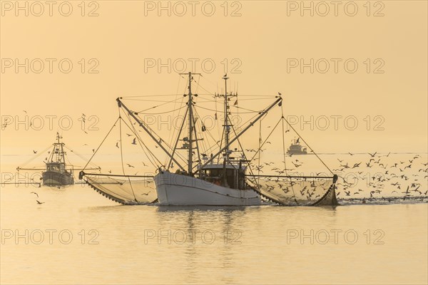 Fishing boat trawling in the North Sea