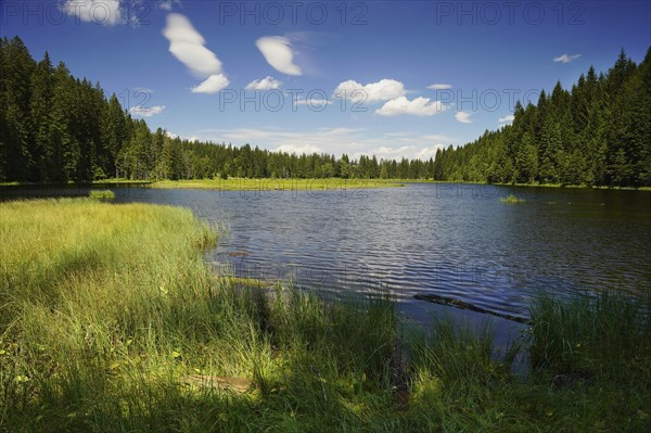 Kleiner Arbersee