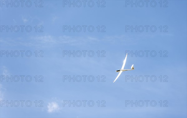 Gliders in the sky