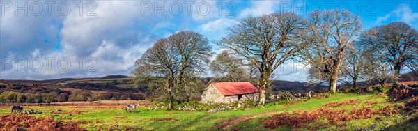 Panorama of Emsworthy Mire