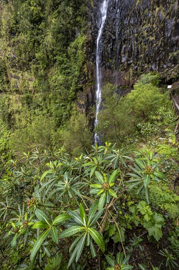 Cascata do Risco waterfall