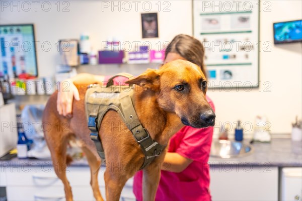 Veterinary clinic