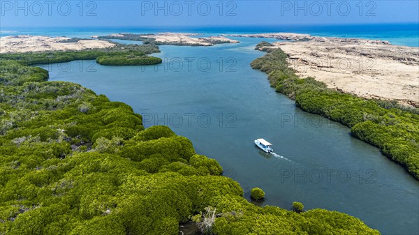 Aerial of the Mangrove forest