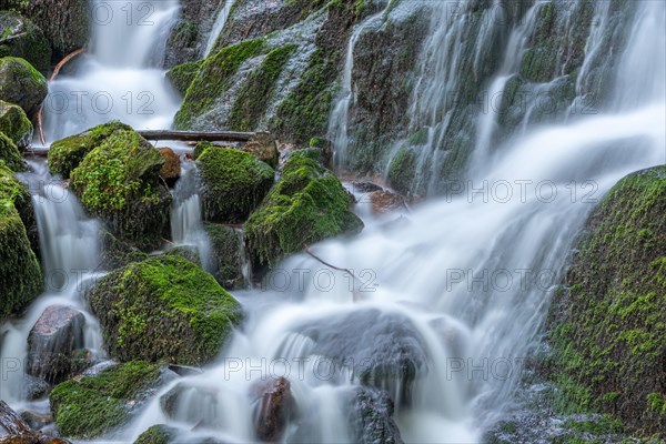 Fresh and beautiful waterfalls in a mountain stream in spring. La Serva