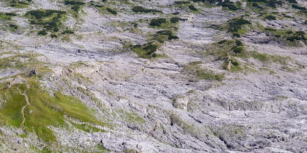 Panorama from Hoher Ifen