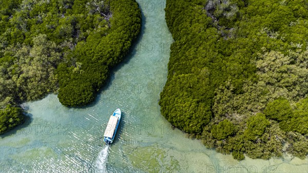 Aerial of the Mangrove forest