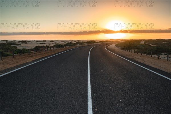 Empty asphalt road through the desert or dunes. Sunrise over the road